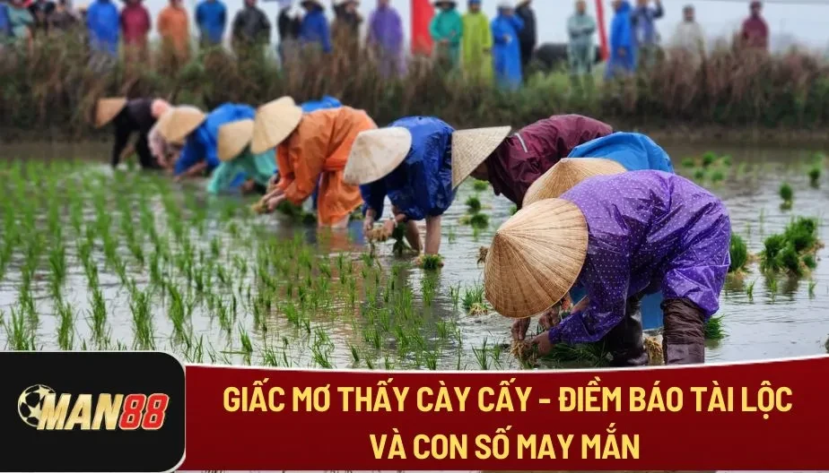 MAN88 Giấc Mơ Thấy Cày Cấy - Điềm Báo Tài Lộc Và Con Số May Mắn