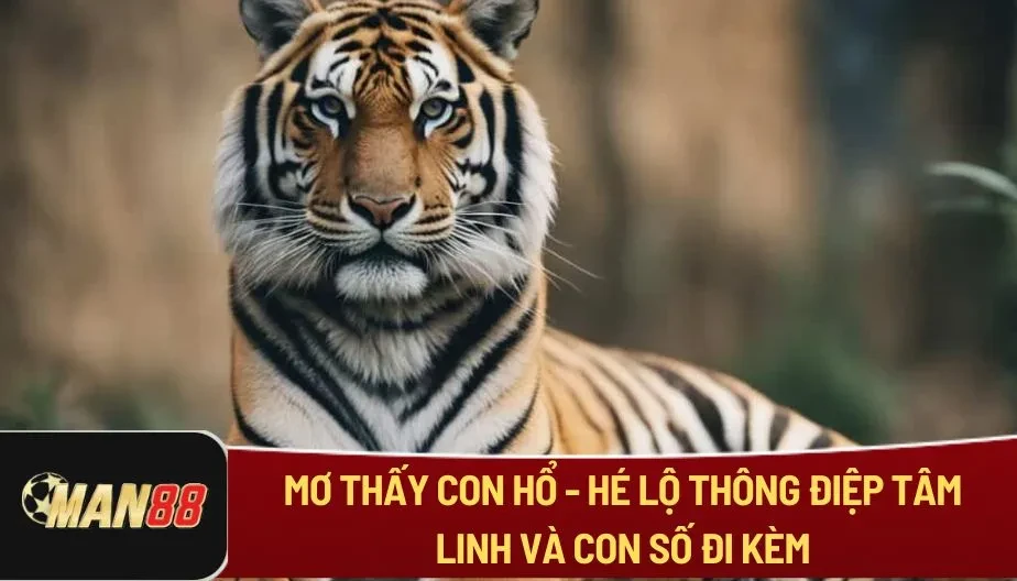 MAN88 Mơ Thấy Con Hổ - Hé Lộ Thông Điệp Tâm Linh Và Con Số Đi Kèm